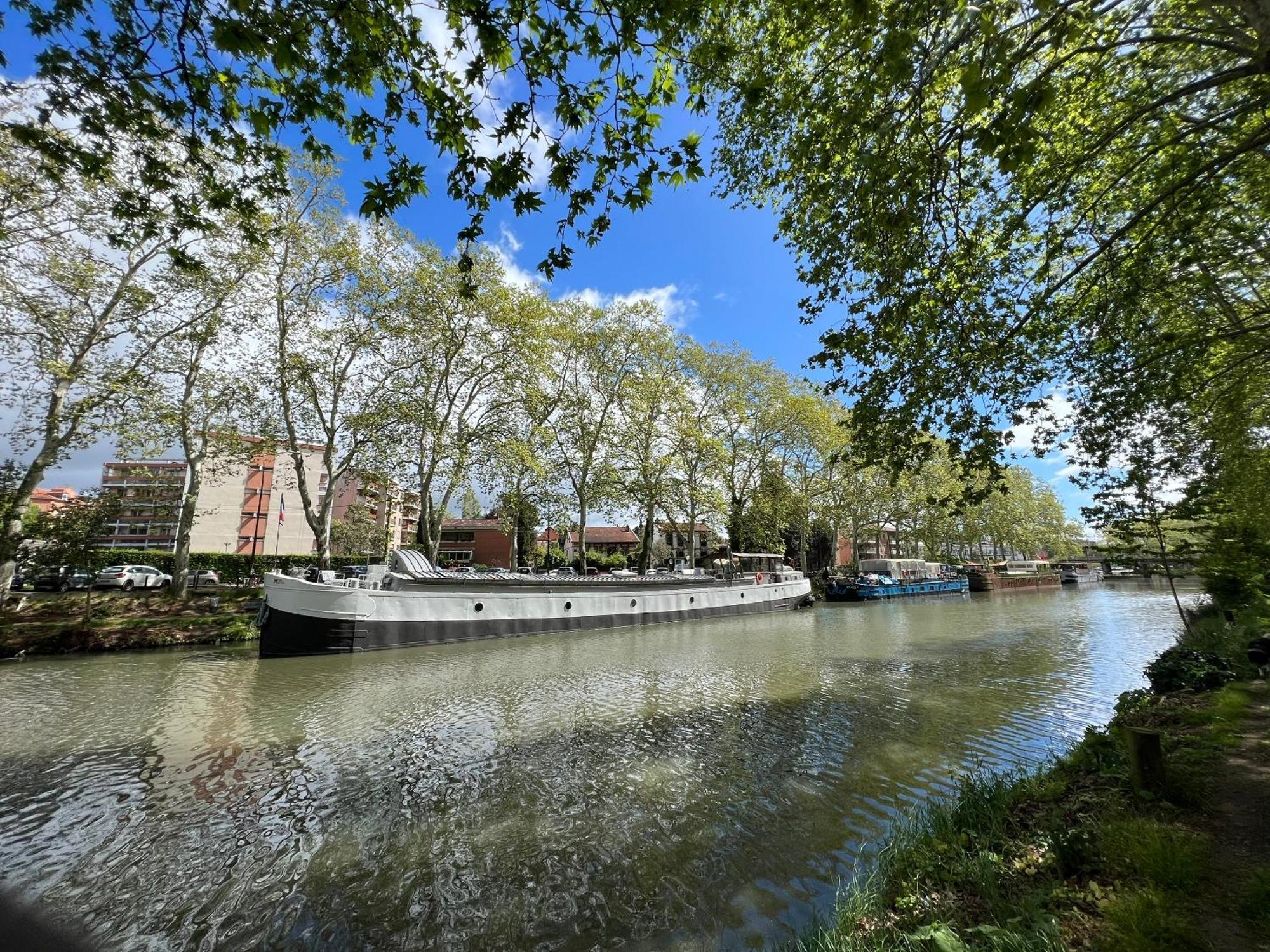 Sunset Duplex - Grand-Rond, Jardin Des Plantes, Centre-Ville, 2 Bdrs 60M2, Ac, Free Public Car Park 200M Away, Netflix - T3 60M2 Avec Clim, Parking Public Gratuit A 200M Toulouse Eksteriør billede